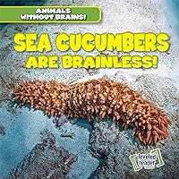 Sea Cucumbers Are Brainless! (Animals Without Brains!) Sea Cucumbers Are Brainless! (Animals Without Brains!) Paperback Library Binding