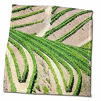 3dRose Portugal, Terraced Vineyards Lining The Hills of The Douro Valley - Towels (twl-249554-3)