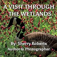 A Visit Through the Wetlands A Visit Through the Wetlands Paperback Kindle