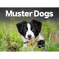 Muster Dogs, Season 2