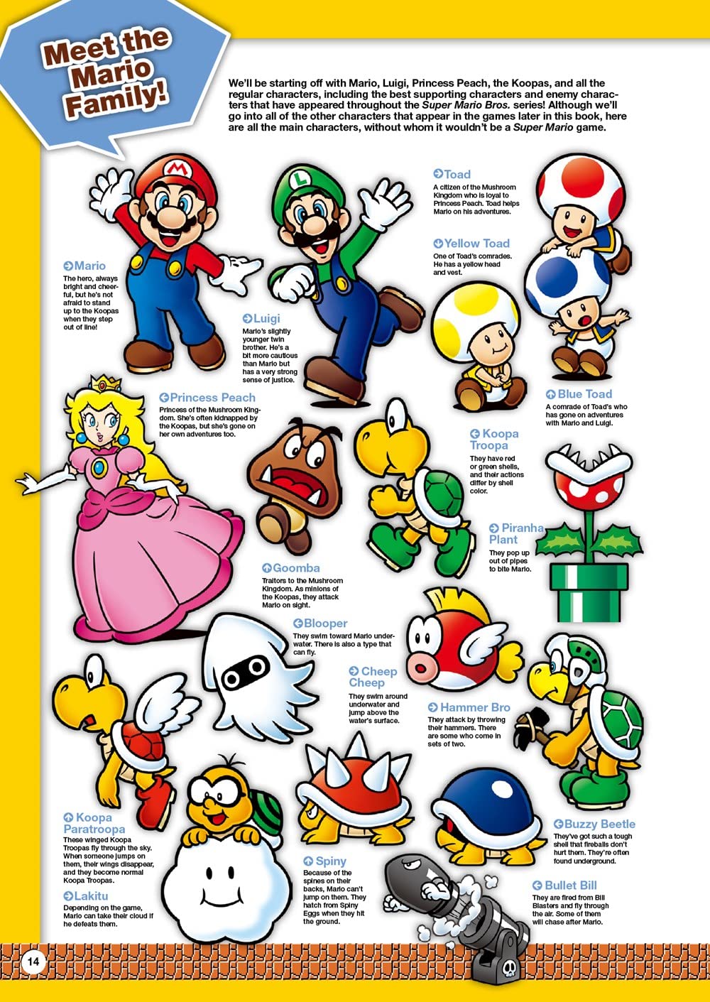 Super Mario Encyclopedia: The Official Guide to the First 30 Years