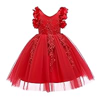 Weileenice Flower Girl Lace Dress Pageant Kids Wedding Christmas Holiday Party Dresses