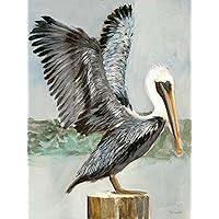 Pelicans Coastal Wall Art, Brown Pelican 2 Custom Framed Home Décor, 12x16, 50 Custom Frame Options