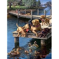Buffalo Games - Summer School - 750 Piece Jigsaw Puzzle for Adults Challenging Puzzle Perfect for Game Nights - 750 Piece Finished Size is 24.00 x 18.00