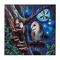 Enchanted Jewelry Fairy Tales Light Up Canvas Print by Lisa Parker