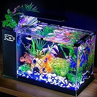 5 Gallon Fish Tank Glass Small Aquarium Starter Kits Self Cleaning with LED Light & Filter for Betta Shrimp Guppy Jellyfish Goldfish Beta,Room Decor Desktop, Gifts