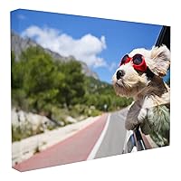 Stupell Home Décor Road Trip Happy Dog with Red Sunglasses Stretched Canvas Wall Art, 16 x 1.5 x 20, Proudly Made in USA