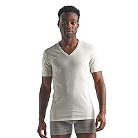 Icebreaker Merino Men's Anatomica Short Sleeve V-Neck T-Shirt