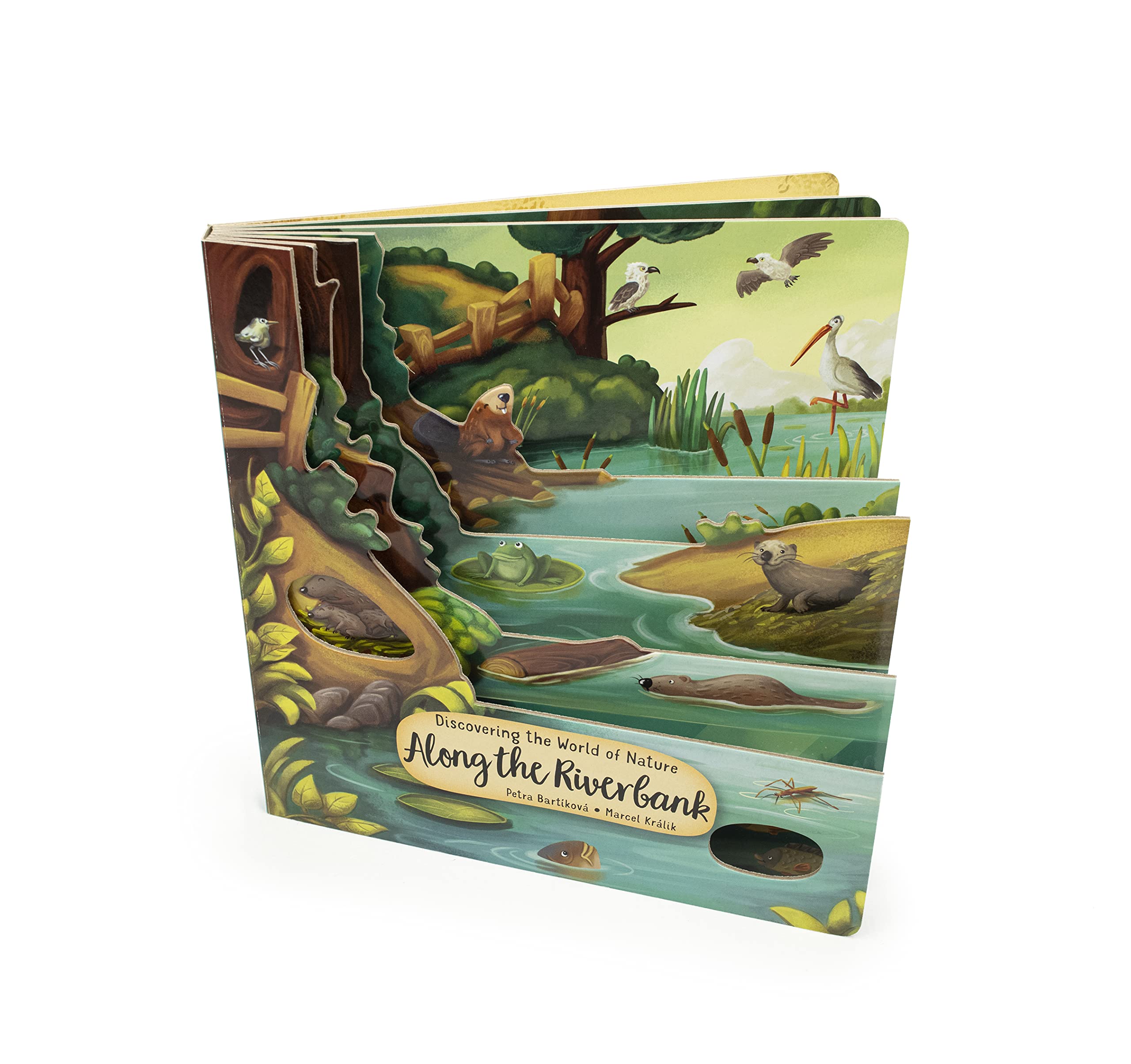 Discovering the World of Nature Along the Riverbank (Happy Fox Books) Exciting Board Book for Kids Ages 2 to 5 to Learn About Animals Living In, Near, or Under the Water, plus Fun & Educational Facts