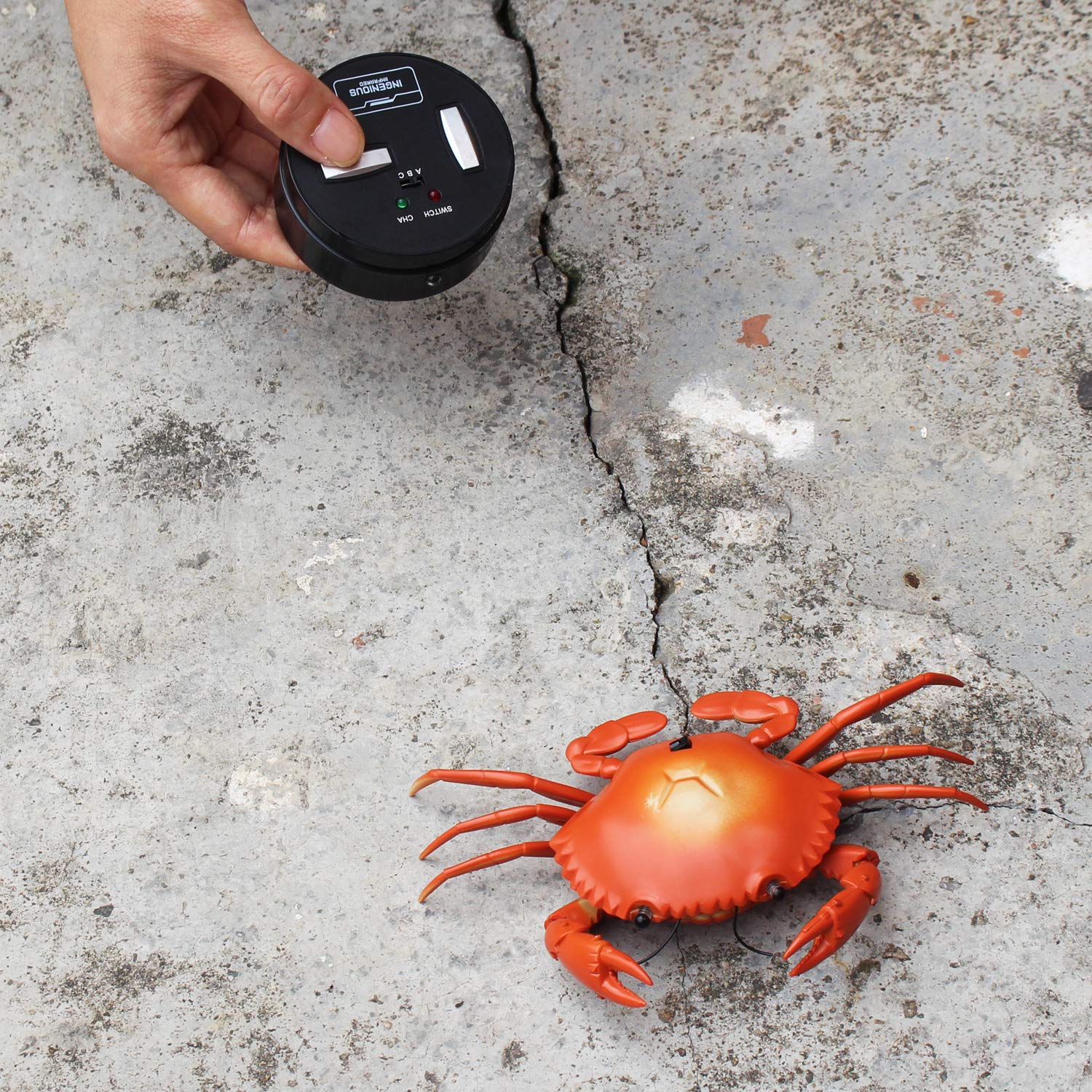 Tipmant RC Crab Animal Toy Remote Control Car Vehicle Electronic Fake Insect for Kids Birthday Gift Christmas Halloween (Red)