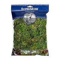 SuperMoss Forest Moss Preserved Lasting Decorative Long Fibers for Potted Plants and Crafts, Fresh Green