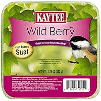 Kaytee Wild Berry High Energy Bird Suet, 11.75 Oz