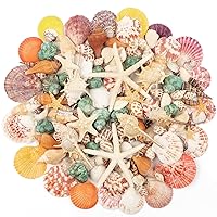 gopiter Small Sea Shells for Decorating - 1.2Inch Bulk Natural White Clam -  Natural Seashells for Crafting Fish Tank Vase Fillers Beach Theme Party