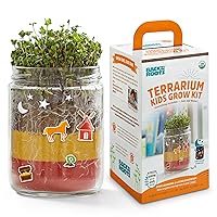 Organic Kids Terrarium Grow Kit - Easy-to-Use DIY Set for All Ages Small