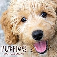 TF PUBLISHING 2024 Puppies Wall Calendar | Large Grids for Appointments and Scheduling | Vertical Monthly Wall Calendar 2024 | Home and Office Organization | Premium Gloss Paper | 12