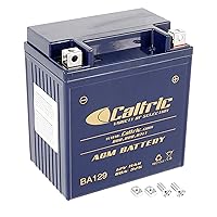 Caltric Agm Battery Compatible with Yamaha Virago 250 Xv250 Xv-250 Xv 250 1995-2004