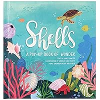 Shells: A Pop-Up Book of Wonder (4 Seasons of Pop-Up) Shells: A Pop-Up Book of Wonder (4 Seasons of Pop-Up) Hardcover