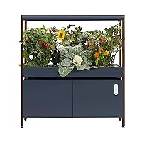 Rise Gardens 1 Level Garden Hydroponic Indoor Garden Kit with LED Grow Light and 1 Year Membership, Charcoal Color