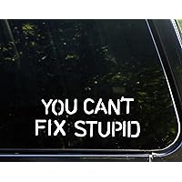 You Can't Fix Stupid - 8