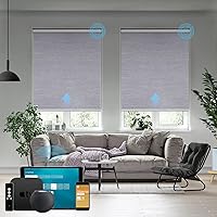 Motorized Roller Shade Work with HomeKit, 100% Blackout Auto Window Blinds, Smart Home Cordless Remote Control, Rechargeable Motor, Light Grey, W36 x H72