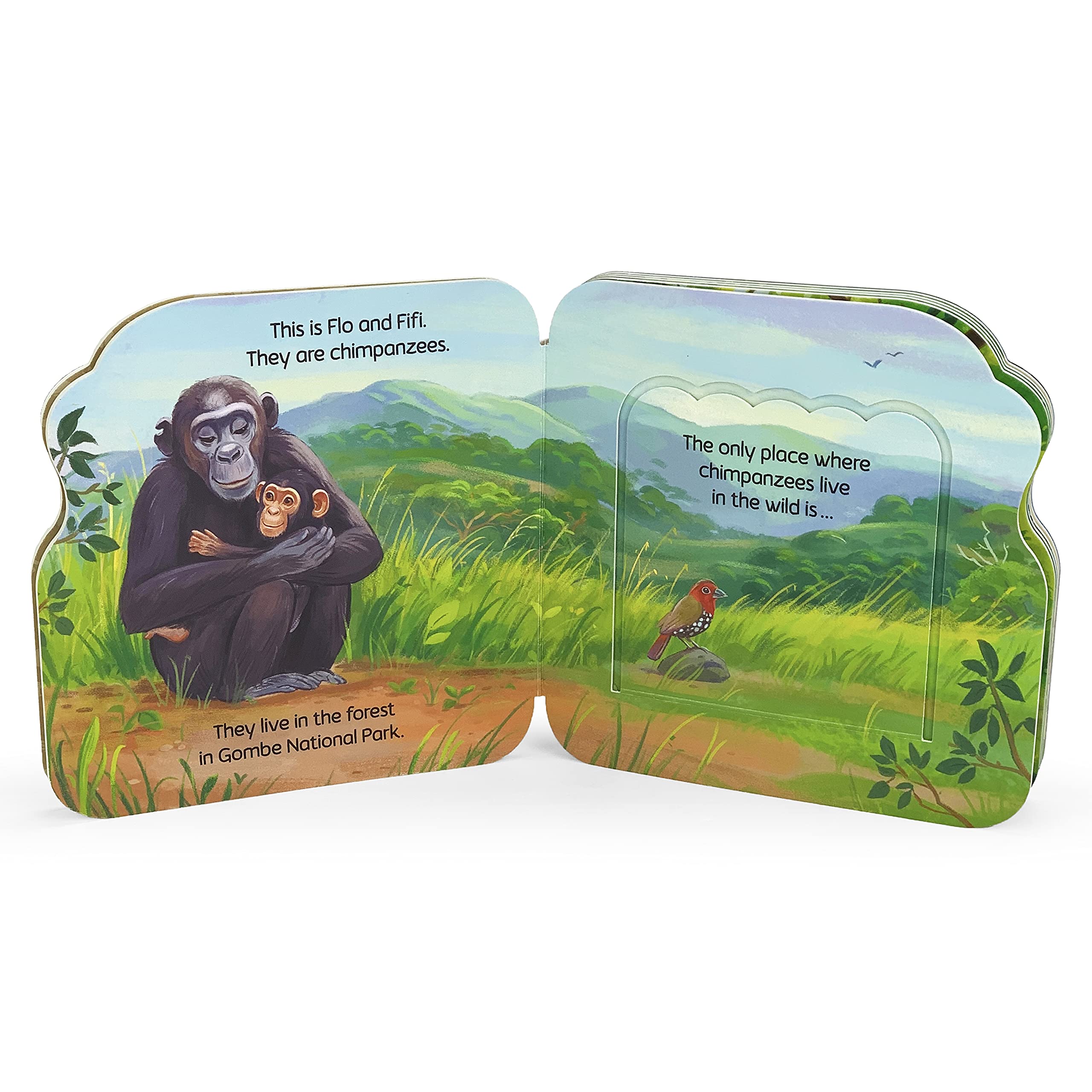 Jane Goodall Chimpanzees Book and Plush Set - Children's Lift-a-Flap Board Book for Babies and Toddlers including Stuffed Chimp, Ages 2-5