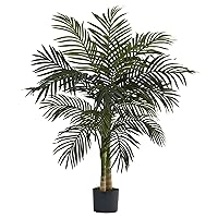 5357 4ft. Golden Cane Palm Tree,Green