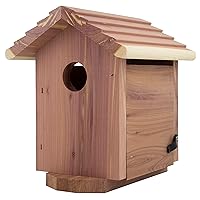 Pennington Pride Birdhouse for Outdoor, Outdoor Birdhouse Cedar, Room for 1 Adult and 3-4 babies