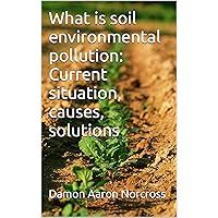 What is soil environmental pollution: Current situation, causes, solutions