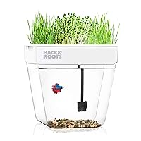 Back to the Roots Indoor Aquaponic Garden - 3 Gallon Self Watering, Mess-Free Planter and Self-Cleaning Fishtank for Herbs, Microgreens, Bamboo, Succulents, and Houseplants, support Fish