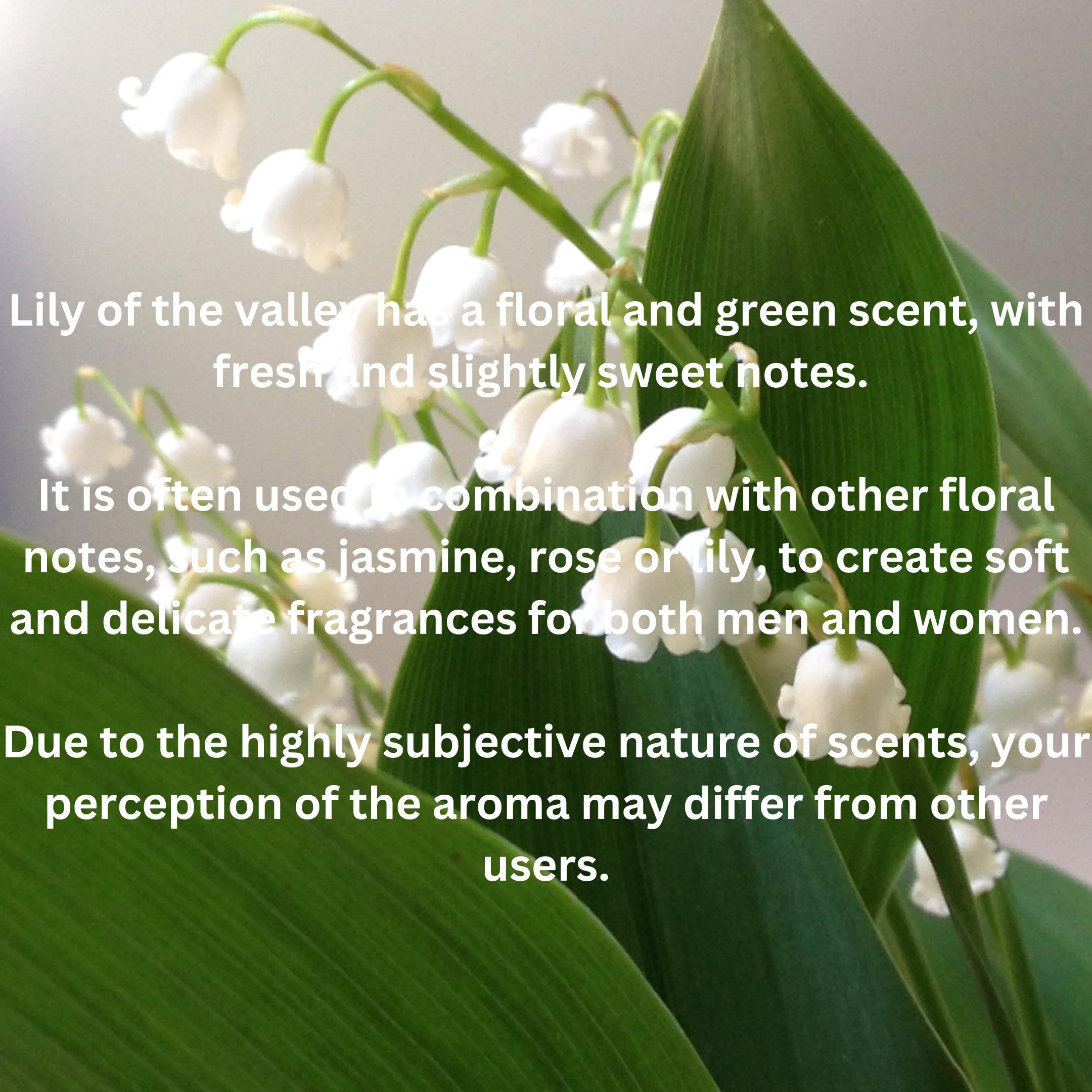 Fragrances & More - Lily of The Valley Fragrance Oil 2 oz. (60ml) Candle Scent for Candle Making. Scented Oil for Home Diffusers. Essential Oils for Soap Making. Home diffusers Refills.