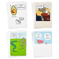Hallmark Shoebox Funny Blank Cards Assortment (12 All Occasion Cards with Envelopes)