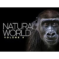 Natural World: Volume IV