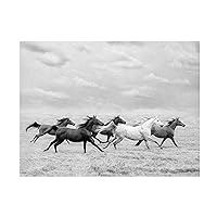 Trademark Fine Art 'Horse Run I' Canvas Art by PHBurchett 24x32