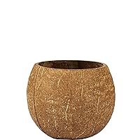 Authentic Brown Coconut Cup (4 - 18 oz Capacity) 1 Count - Real Coconut Drinkware Perfect For Tropical Parties