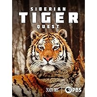 Siberian Tiger Quest