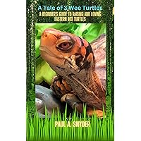 A Tale of 3 Wee Turtles: A Beginner's Guide to Raising and Loving Eastern Box Turtles A Tale of 3 Wee Turtles: A Beginner's Guide to Raising and Loving Eastern Box Turtles Kindle Paperback