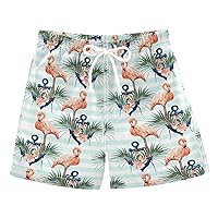 Flamingo (77) Boys Swim Trunks with Mesh Lining Toddler Swimwear Bathing Suit Quick Dry for Kids Adjustable Waist 5T
