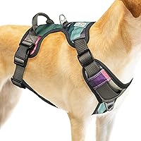 Embark Urban Dog Harness, No Pull Dog Harness with 2 Leash Clips, Dog Harness for Medium Dogs No Pull. Front & Back with Control Handle, Adjustable Black Dog Vest, Soft & Padded for Comfort