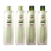 Trader Joe's Tea Tree Tingle Moisturizing Shampoo & Conditioner 4 Pack (2 Each) - CRUELTY FREE