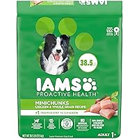 IAMS Adult Minichunks Small Kibble High Protein Dry Dog Food with Real Chicken, 38.5 lb. Bag