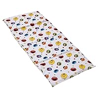 Sesame Street Come and Play Blue, Green, Red and Yellow, Elmo, Big Bird, Cookie Monster, Grover and Oscar The Grouch Preschool Nap Pad Sheet