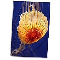 3D Rose Jellyfish Close-up in Water TWL_44777_1 Towel, 15
