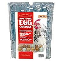 Clear Plastic Egg Cartons - 12 Pack