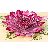 Pop Up Card, Greeting Card, Dahlia Flower, For Mothers Days, Fathers Day, Anniversary Card, Birthday Card, Love Card, Thank You Cards All Occasions