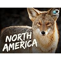 North America Season 1