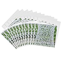 3dRose Greeting Cards - Abstract of water droplets - 12 Pack - Abstracts
