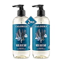 Hand Wash Soap, Aloe Vera Gel, Olive Oil and Essential Oils to Cleanse and Condition, Basil Blue Sage, 10.8 oz, 2 Pack