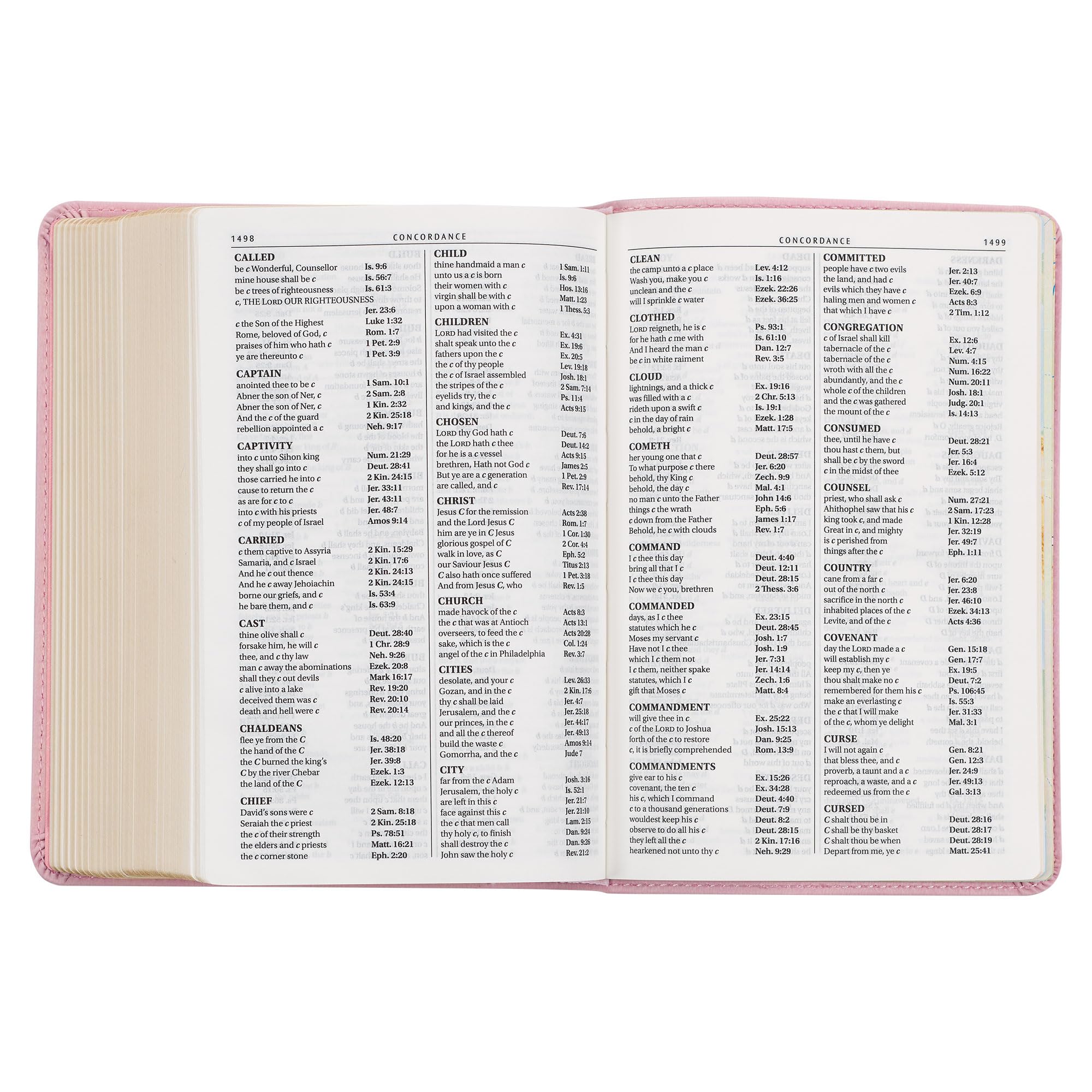 KJV Holy Bible, Compact Large Print Faux Leather Red Letter Edition - Ribbon Marker, King James Version, Pink