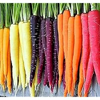 Rainbow Carrot Seeds for Planting Heirloom Non GMO Packets 750 Seeds – Plant & Grow Rainbow Carrots in Home Outdoor Garden, Great Gardening Gift – 1 Packet