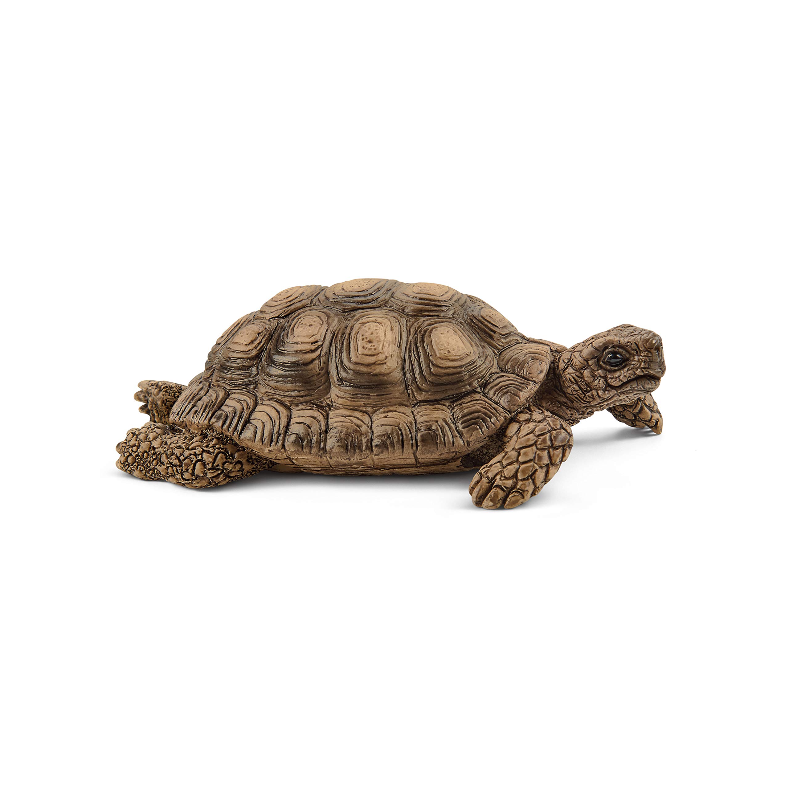 Schleich Wild Life 6-Piece Tortoise Toy Figure with Hatchlings and Turtle Home Playset for Kids Ages 3-8, Brown